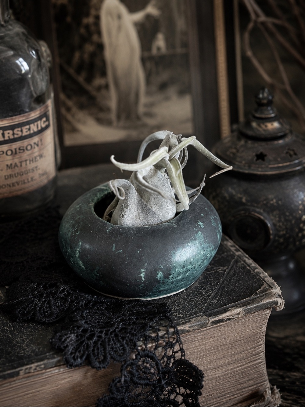 Handmade Ceramic Bowl with Tillandsia Air Plant